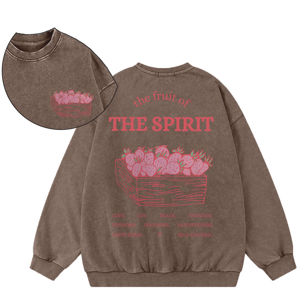 The Fruit Of The Spirit Christian Washed Sweatshirt