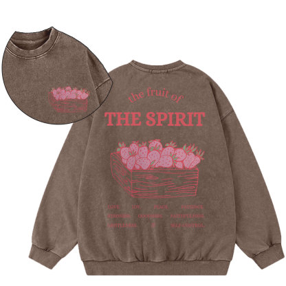 The Fruit Of The Spirit Christian Washed Sweatshirt