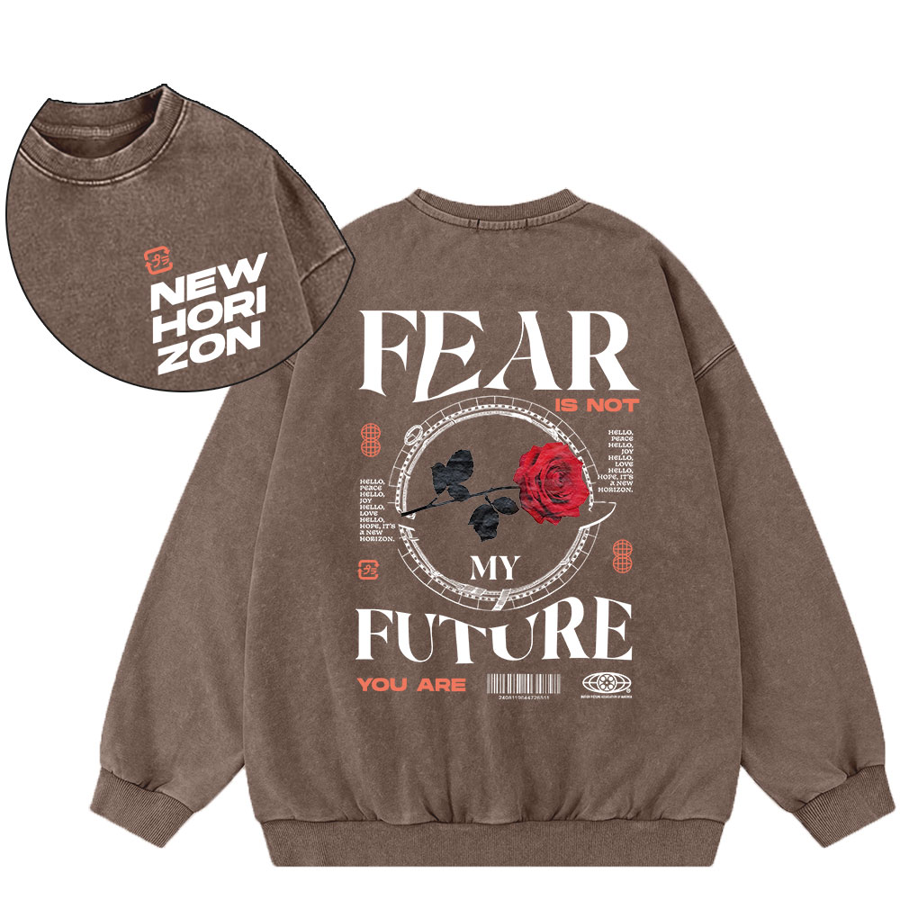 Fear Future Christian Washed Sweatshirt