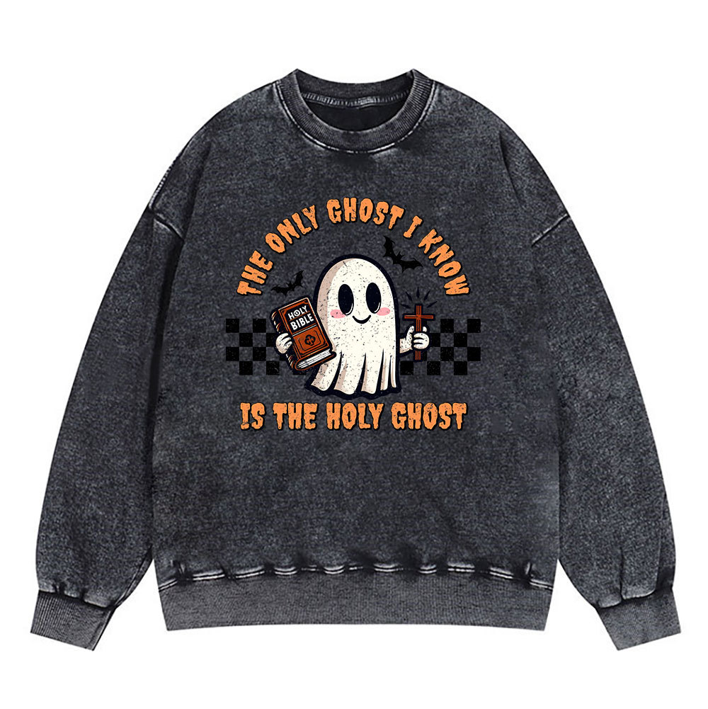 The Only Ghost I Know Is The Holy Ghost Christian Washed Sweatshirt