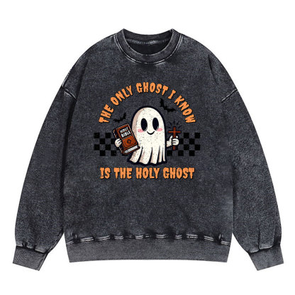 The Only Ghost I Know Is The Holy Ghost Christian Washed Sweatshirt
