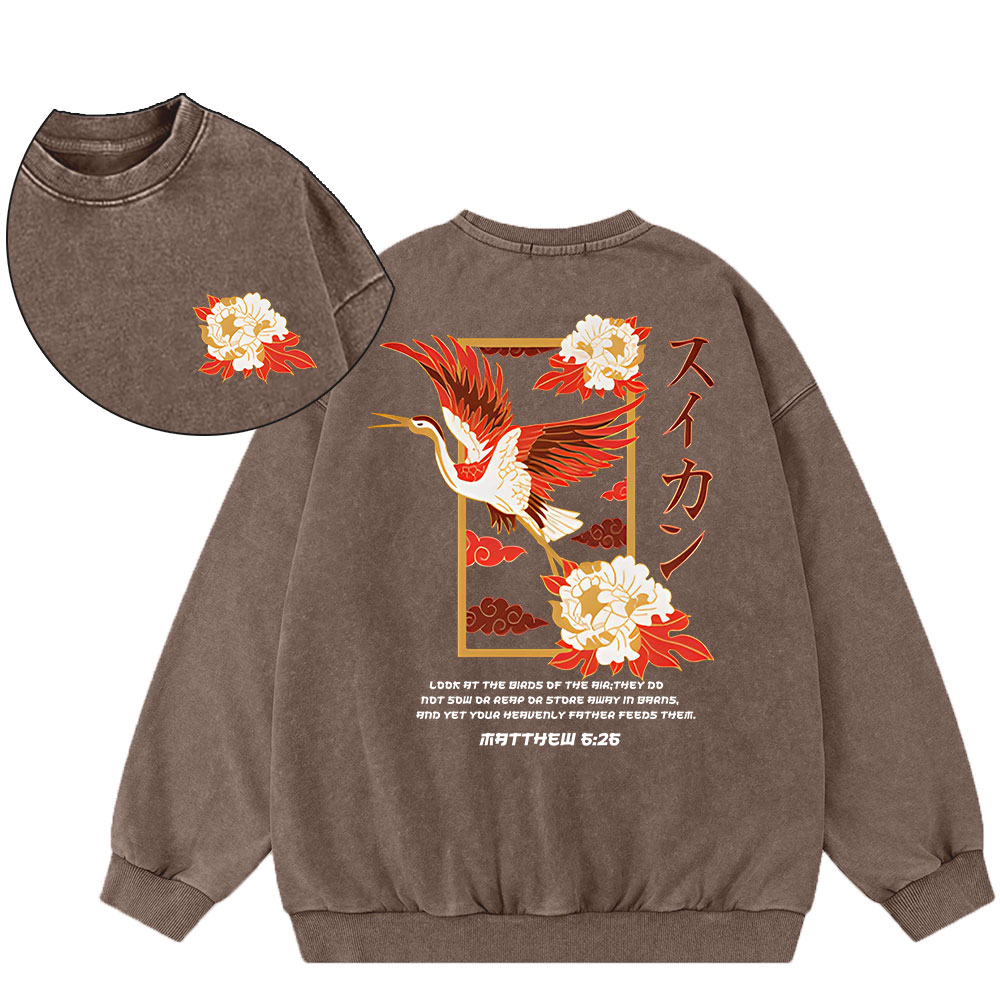 Look At The Birds Christian Washed Sweatshirt