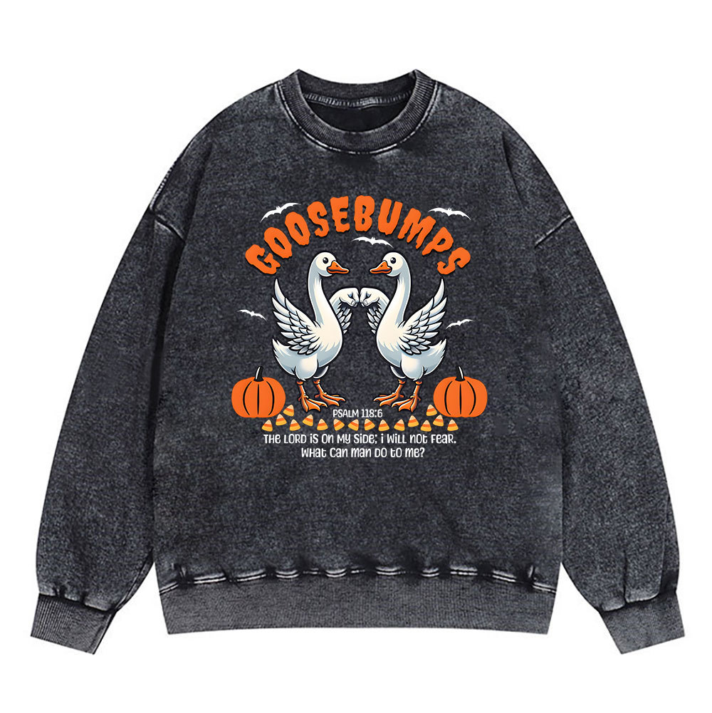Goosebumps Christian Washed Sweatshirt