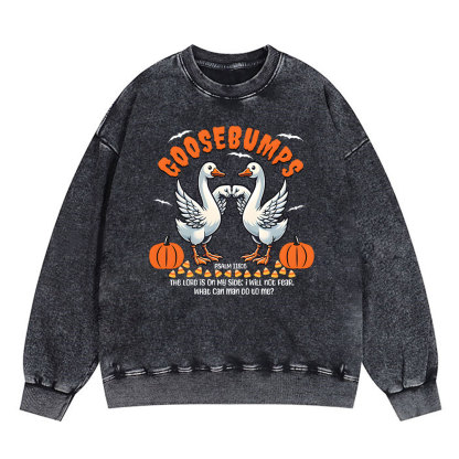Goosebumps Christian Washed Sweatshirt