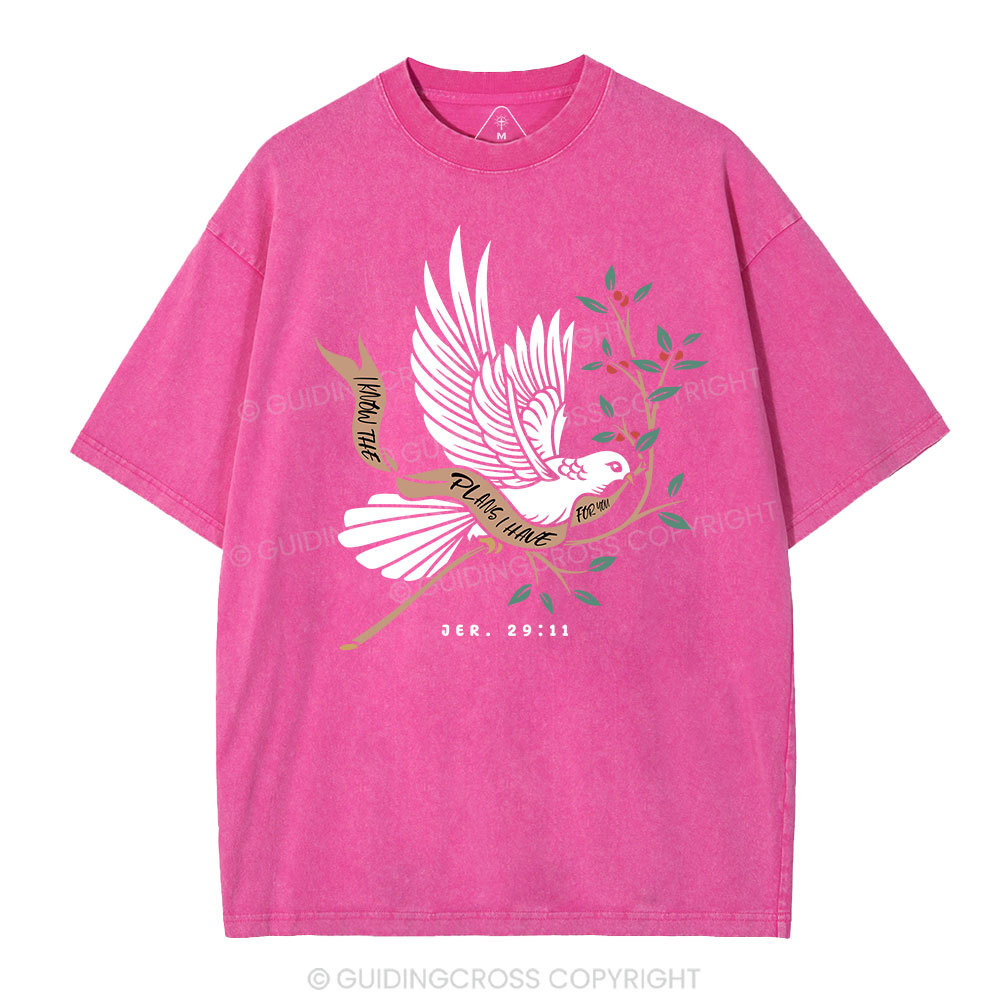 I Know The Plans I Have For You Christian Washed T-Shirt Sale - GuidingCross