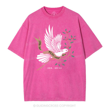 I Know The Plans I Have For You Christian Washed T-Shirt