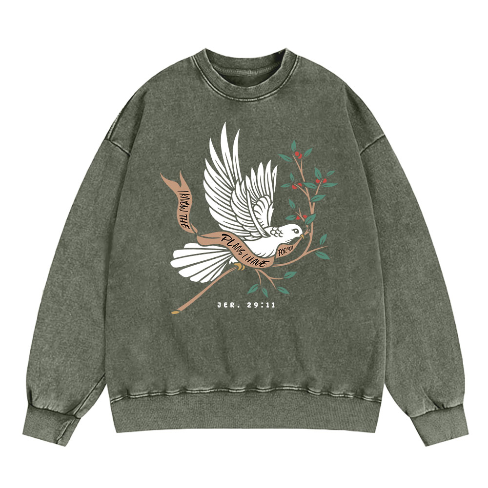 I Know The Plans I Have For You Christian Washed Sweatshirt