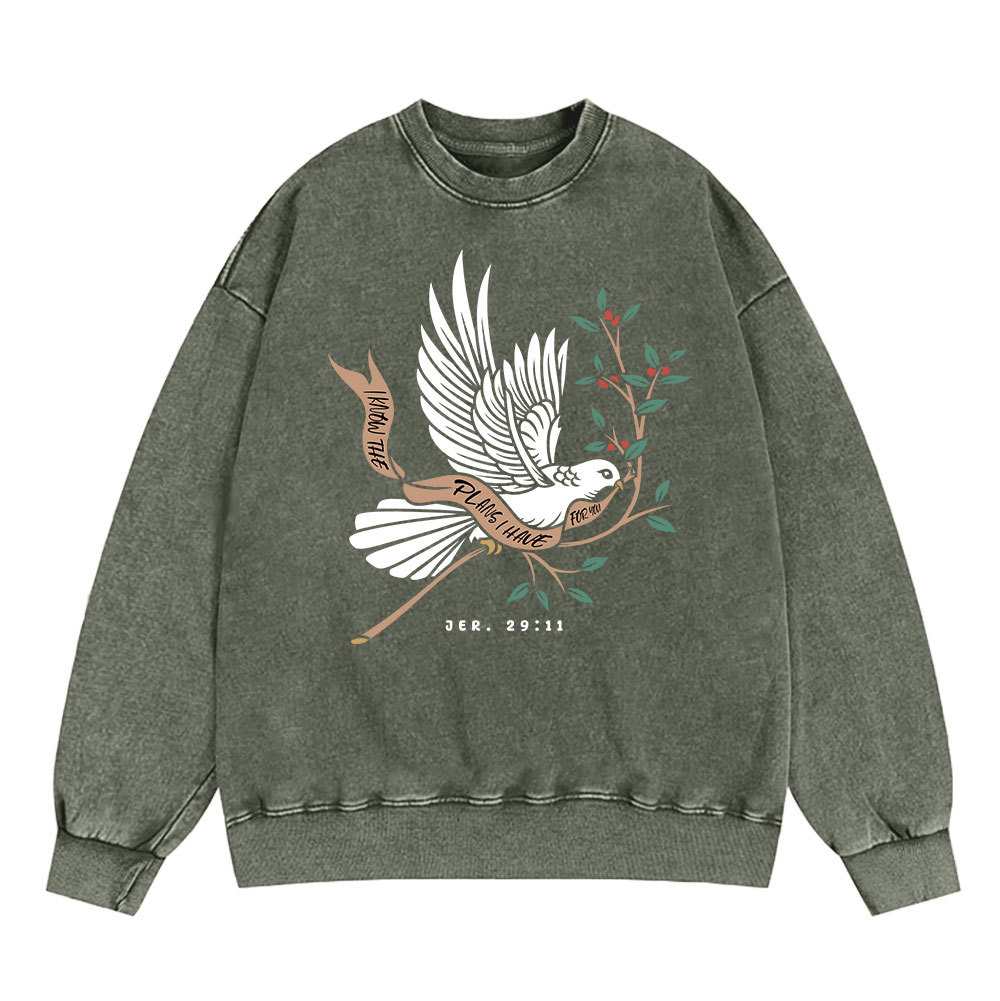 I Know The Plans I Have For You Christian Washed Sweatshirt