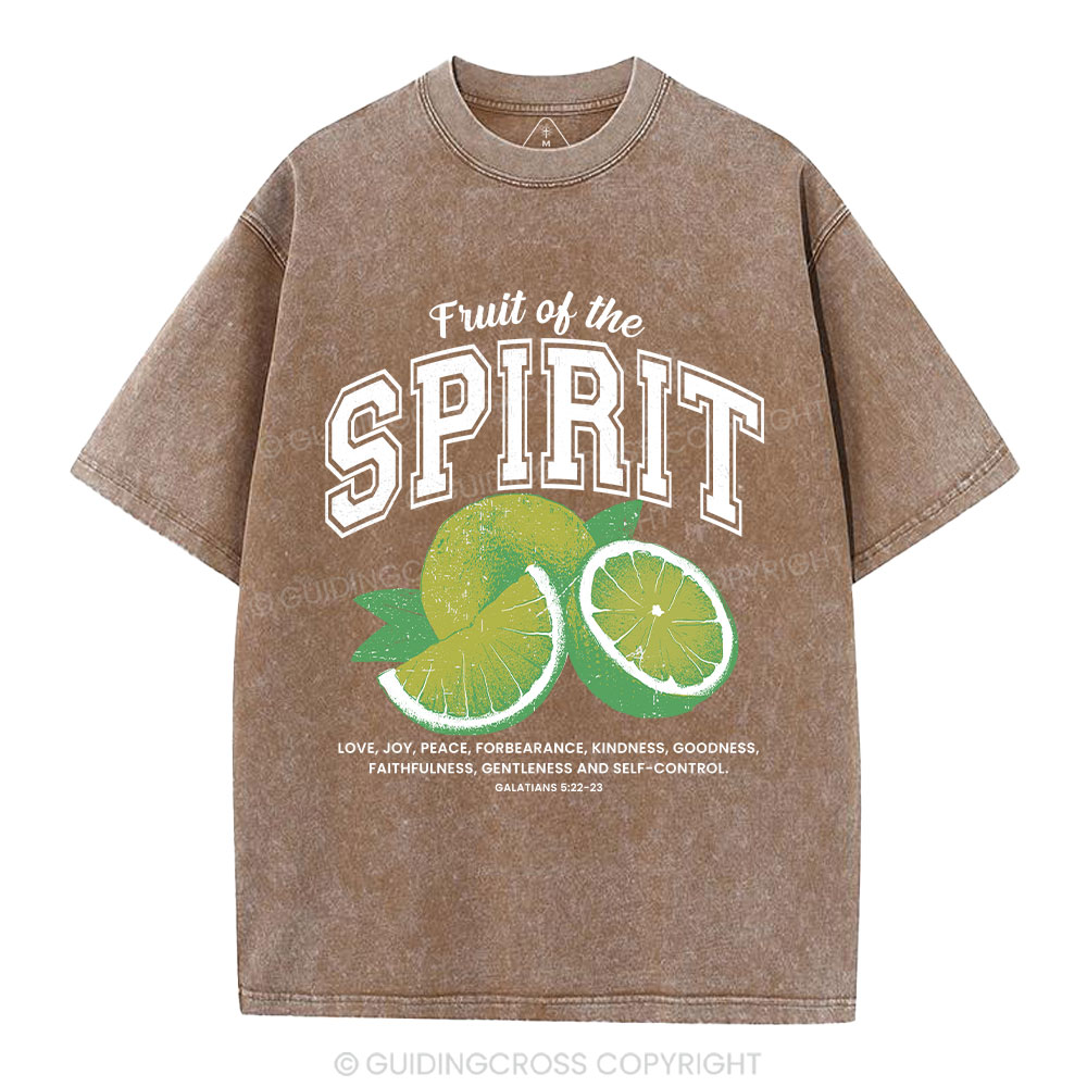 Fruit Of The Spirit Christian Washed T-Shirt