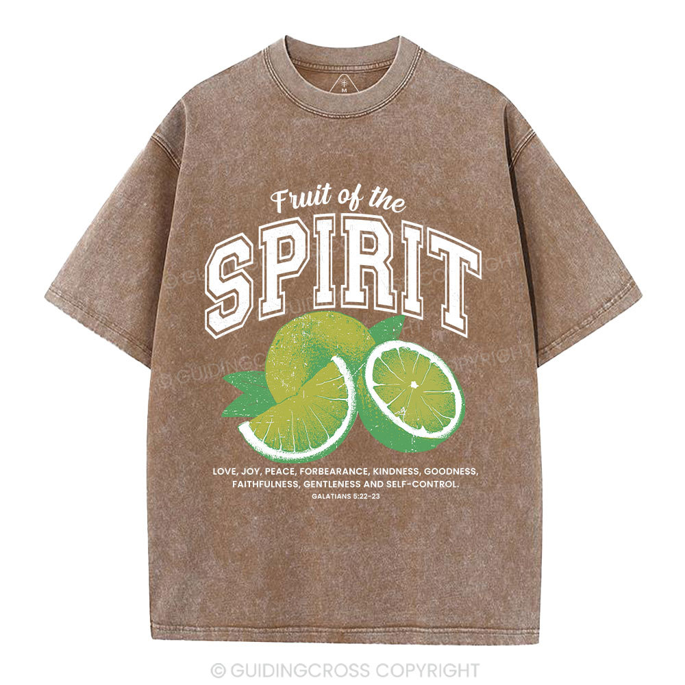 Fruit Of The Spirit Christian Washed T-Shirt