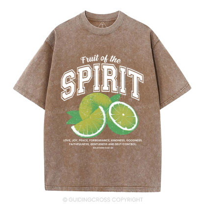 Fruit Of The Spirit Christian Washed T-Shirt