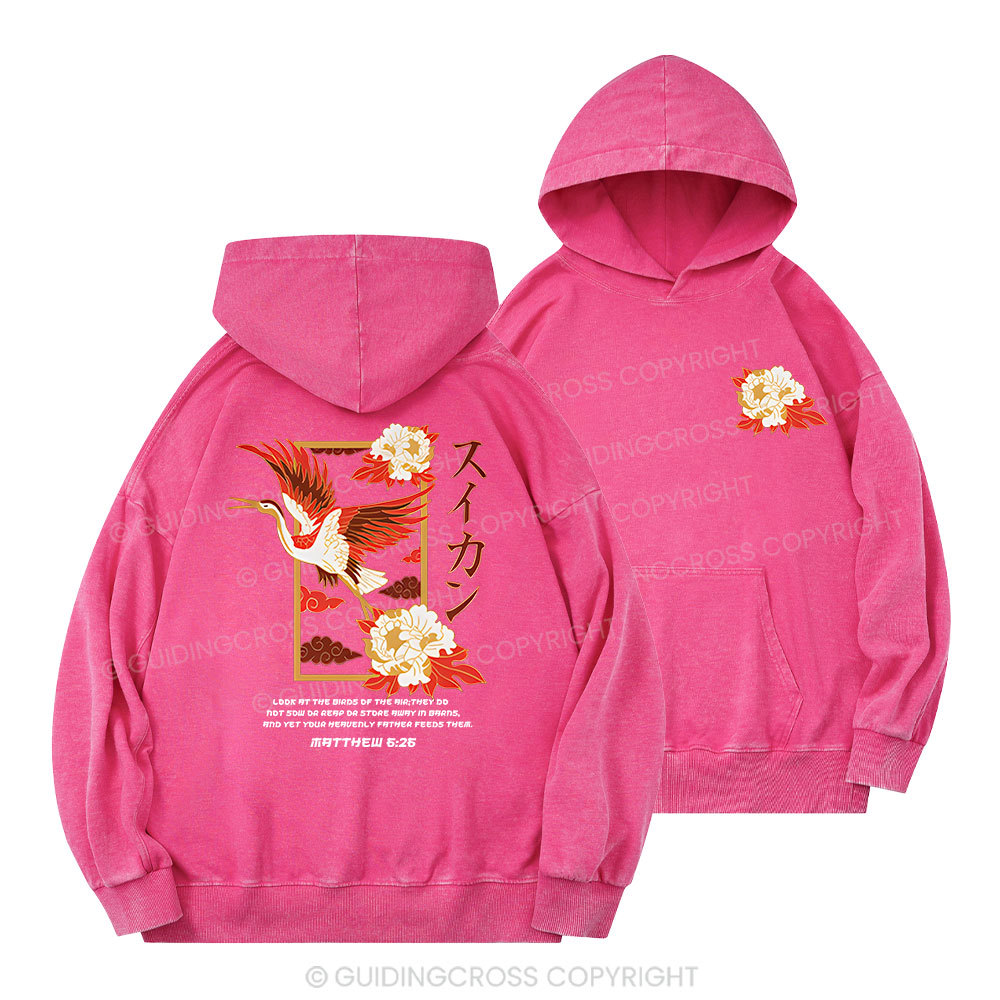 Look At The Birds Christian Washed Hoodie