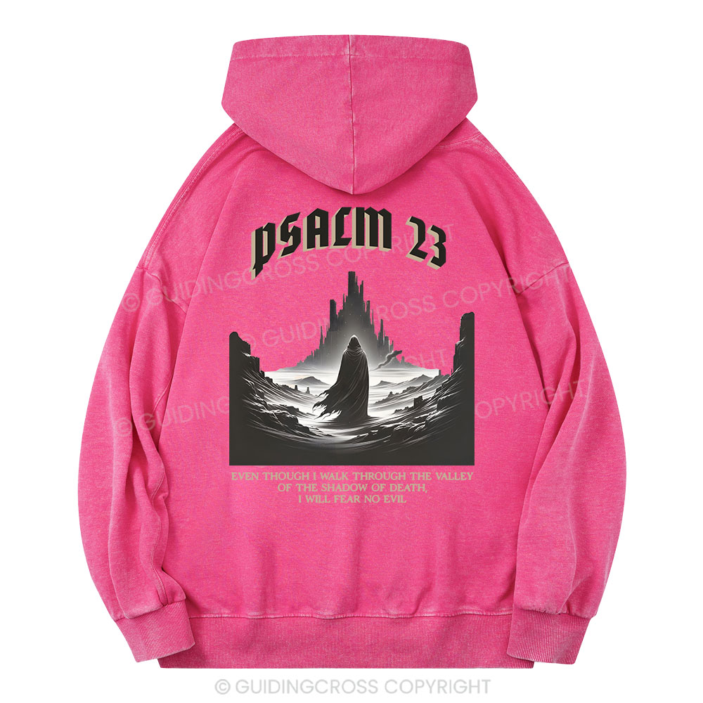 Psalm Christian Washed Hoodie