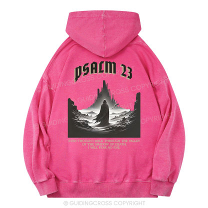 Psalm Christian Washed Hoodie