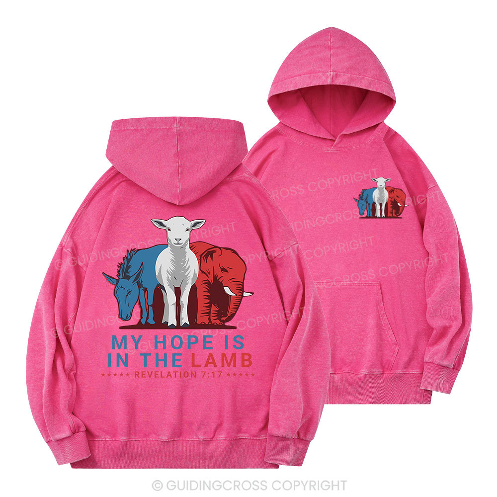 My Hope Is In The Lamb Christian Washed Hoodie