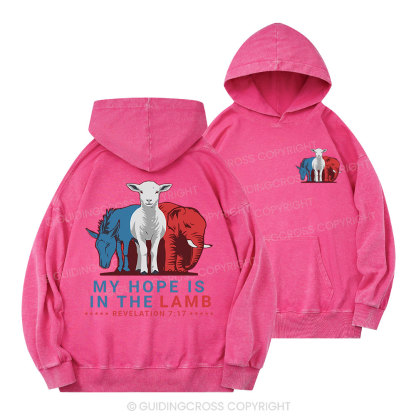 My Hope Is In The Lamb Christian Washed Hoodie