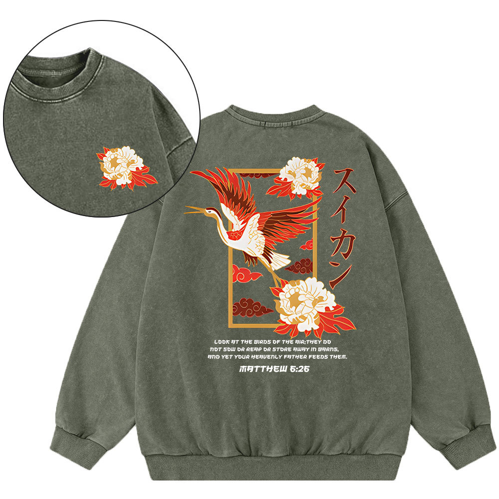 Look At The Birds Christian Washed Sweatshirt