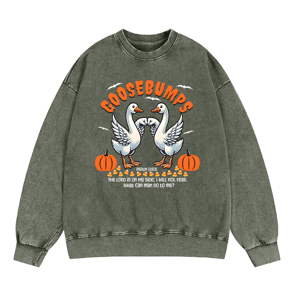Goosebumps Christian Washed Sweatshirt