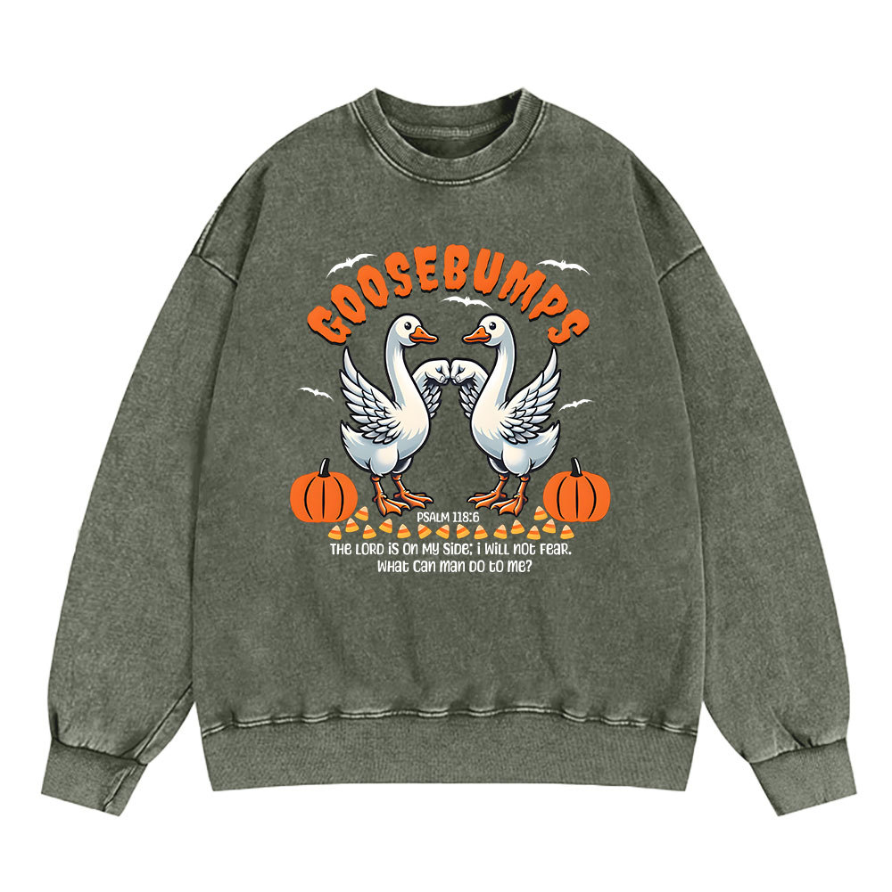 Goosebumps Christian Washed Sweatshirt
