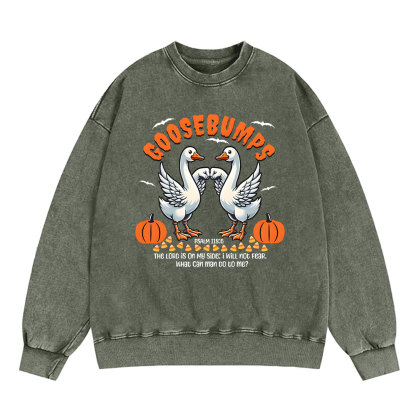 Goosebumps Christian Washed Sweatshirt