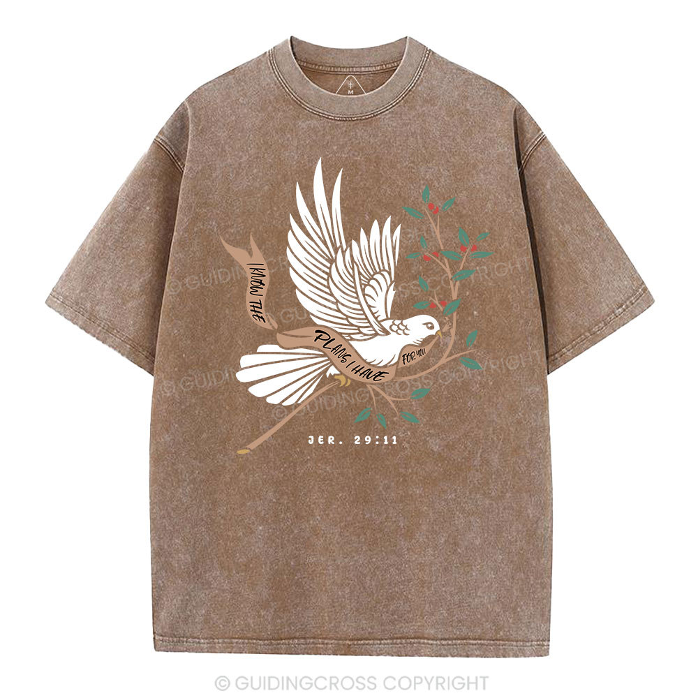 I Know The Plans I Have For You Christian Washed T-Shirt
