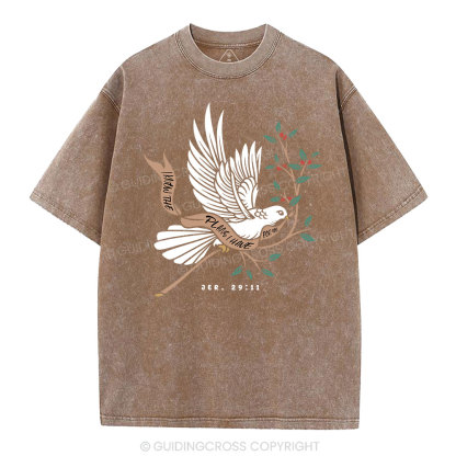 I Know The Plans I Have For You Christian Washed T-Shirt