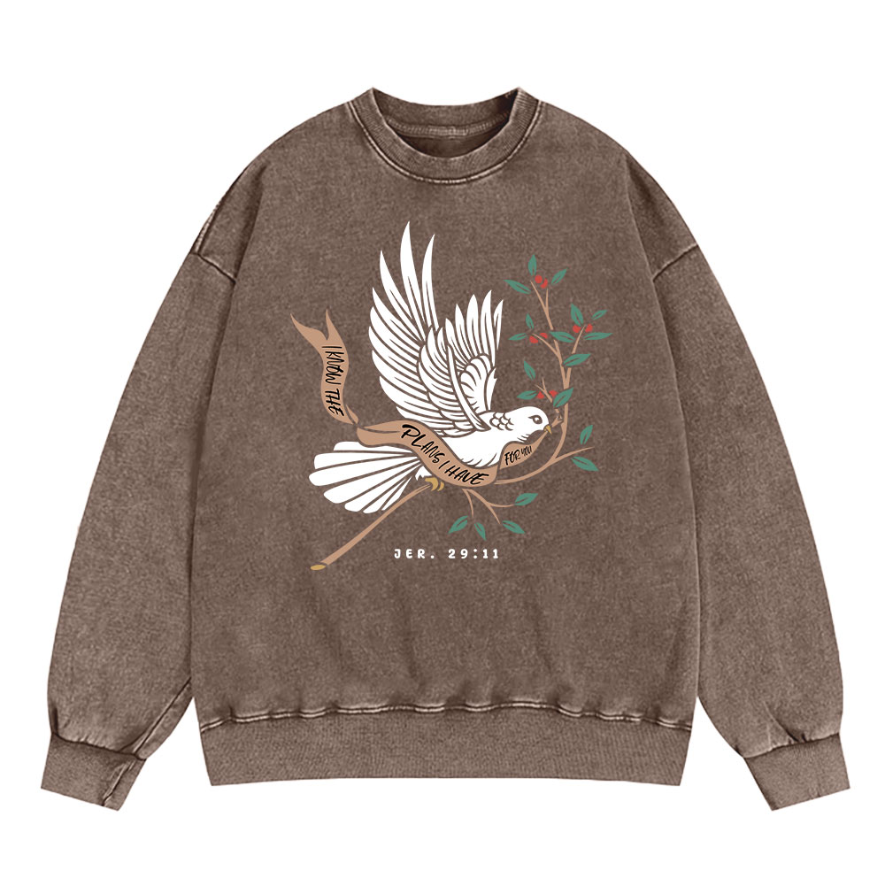 I Know The Plans I Have For You Christian Washed Sweatshirt Sale - GuidingCross