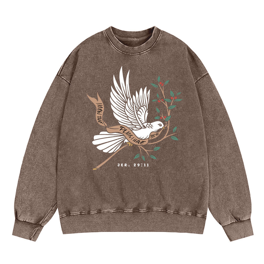 I Know The Plans I Have For You Christian Washed Sweatshirt Sale - GuidingCross