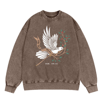 I Know The Plans I Have For You Christian Washed Sweatshirt