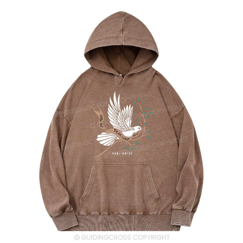 I Know The Plans I Have For You Christian Washed Hoodie Sale - GuidingCross