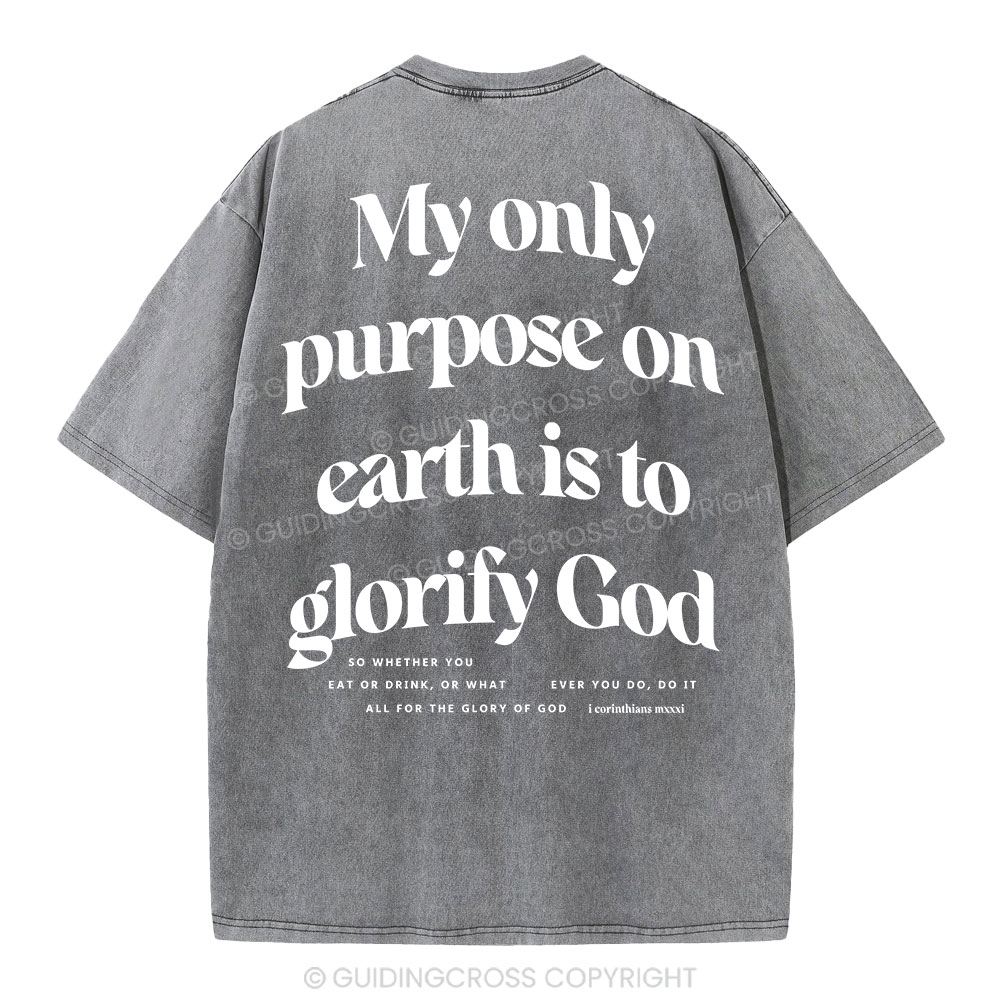 My Only Purpose Christian Washed T-Shirt
