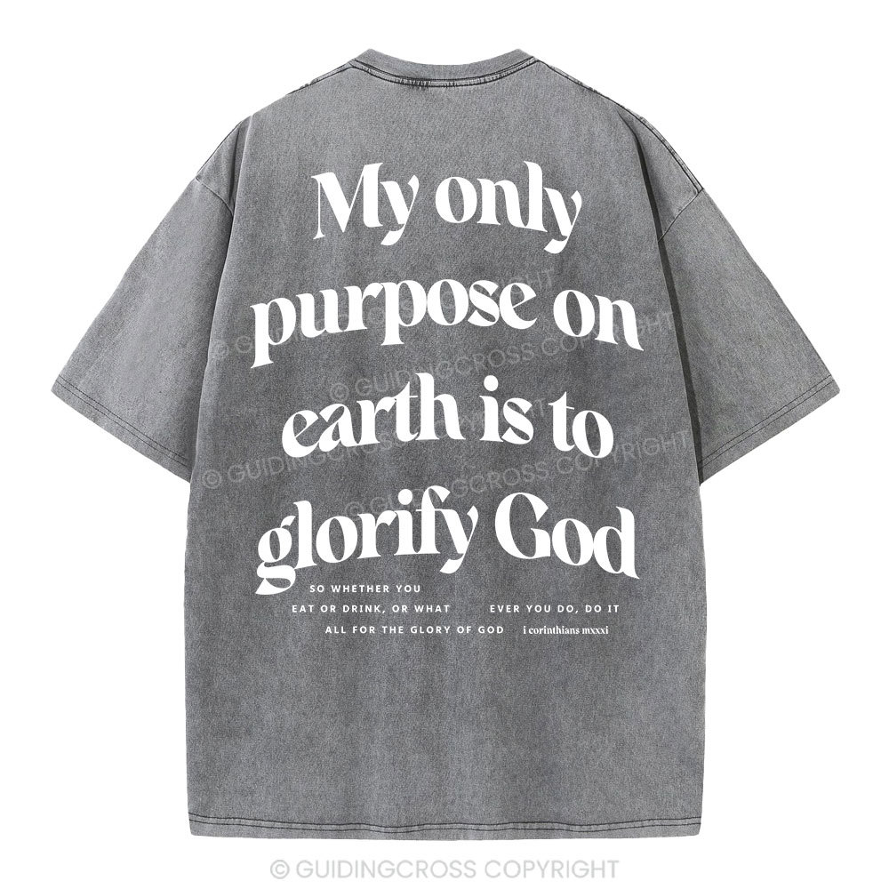 My Only Purpose Christian Washed T-Shirt