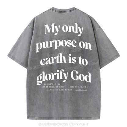 My Only Purpose Christian Washed T-Shirt