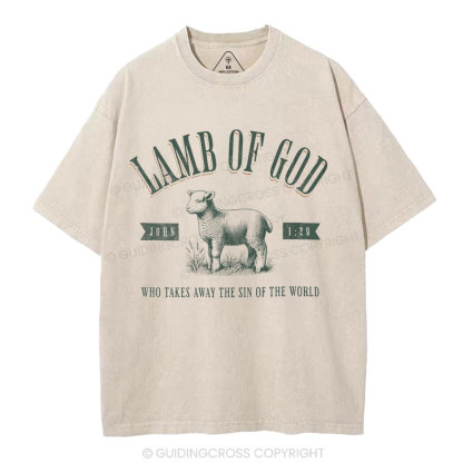 Lamb Of God Christian Washed T-Shirt