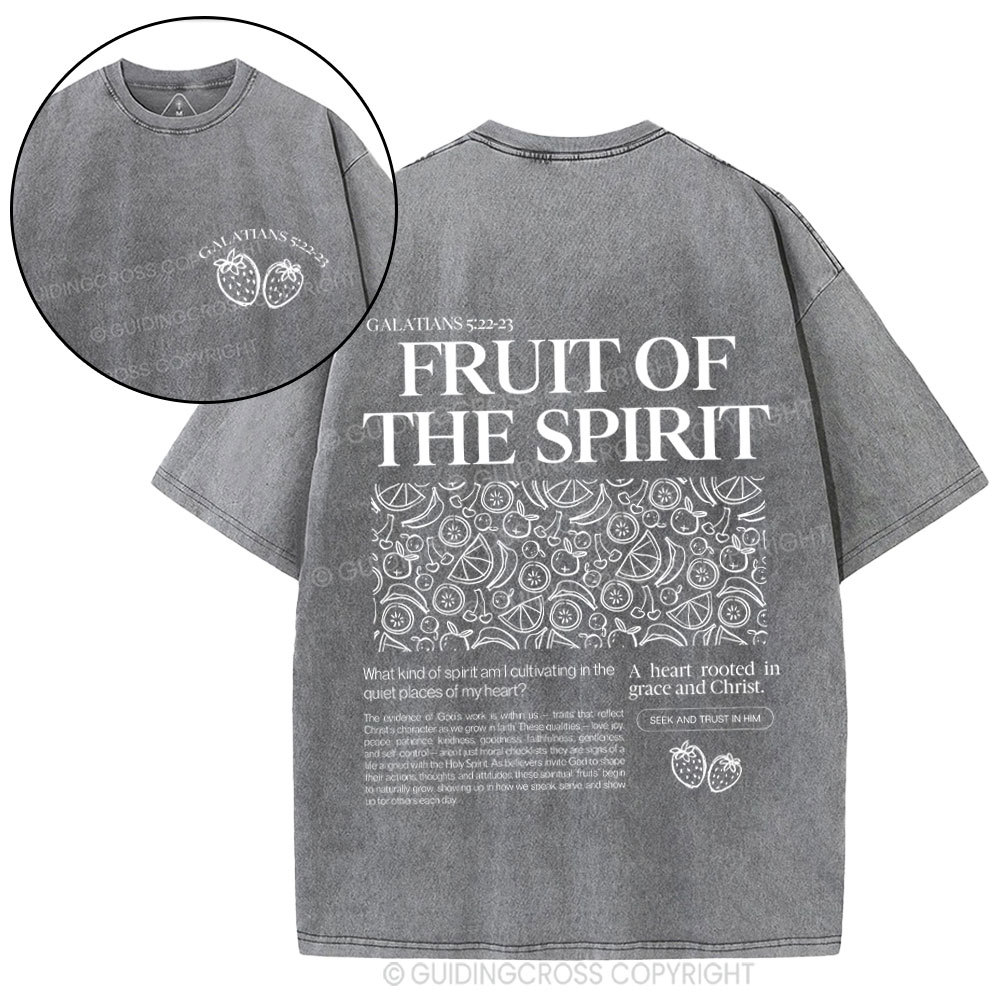 Fruit Of Spirit Christian Washed T-Shirt