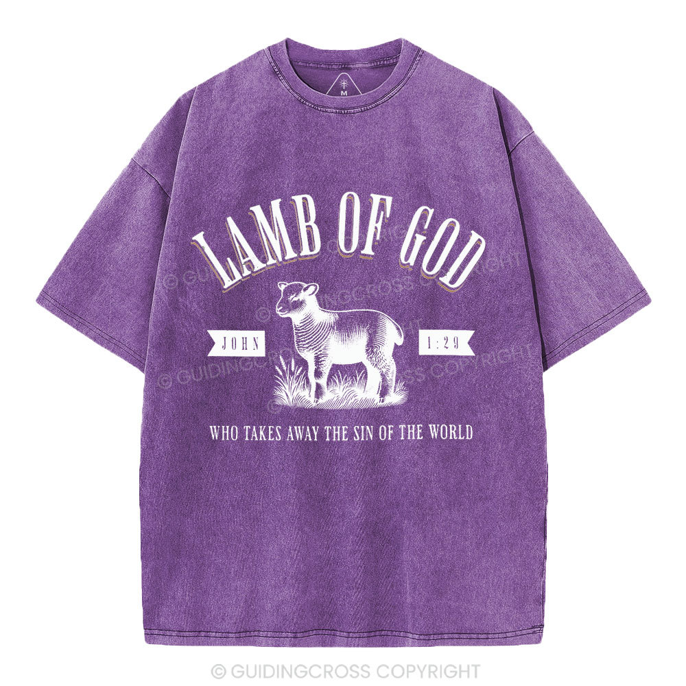 Lamb Of God Christian Washed T-Shirt