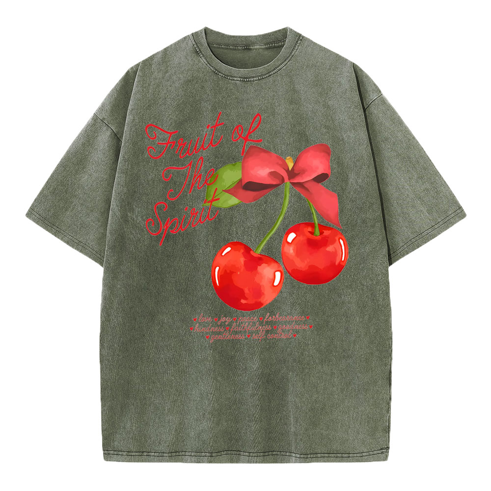 Fruit Of Spirit Christian Washed T-Shirt