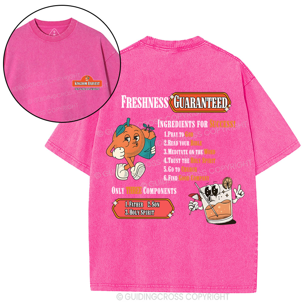 Kingdom Harvest Christian Washed T-Shirt