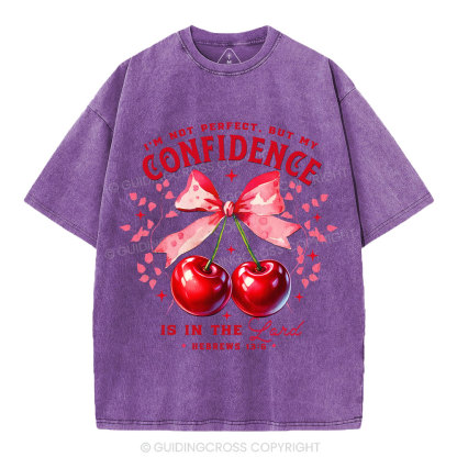 I'm Not Perfect But My Godfidence Is In The Lord Christian Washed T-Shirt