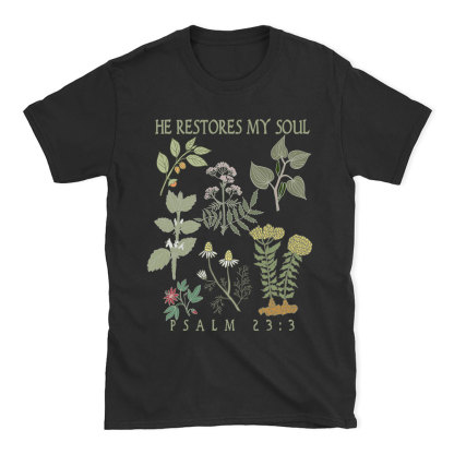 He Restores My Soul Christian T-Shirt