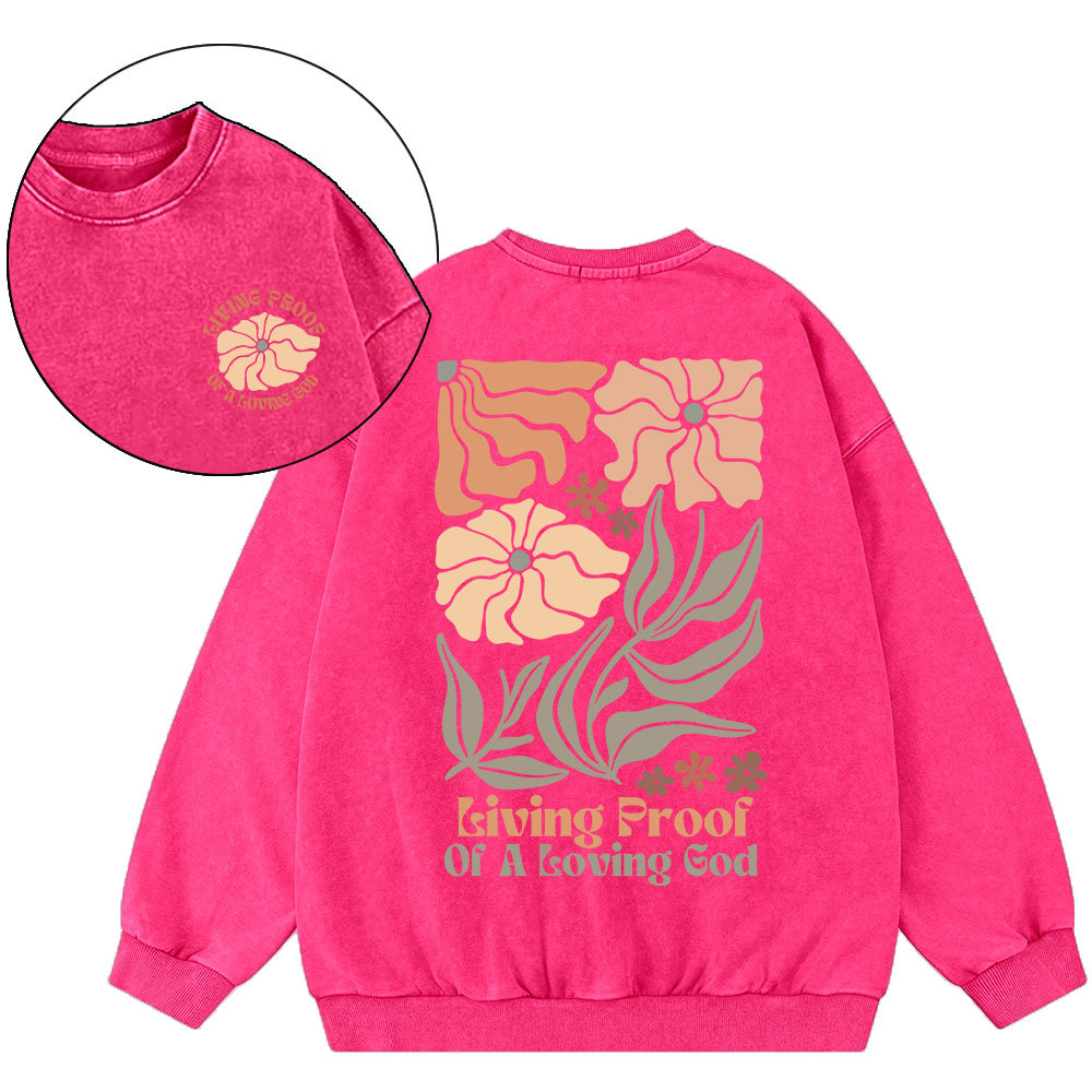 Living Proof Of A Loving God Christian Washed Sweatshirt