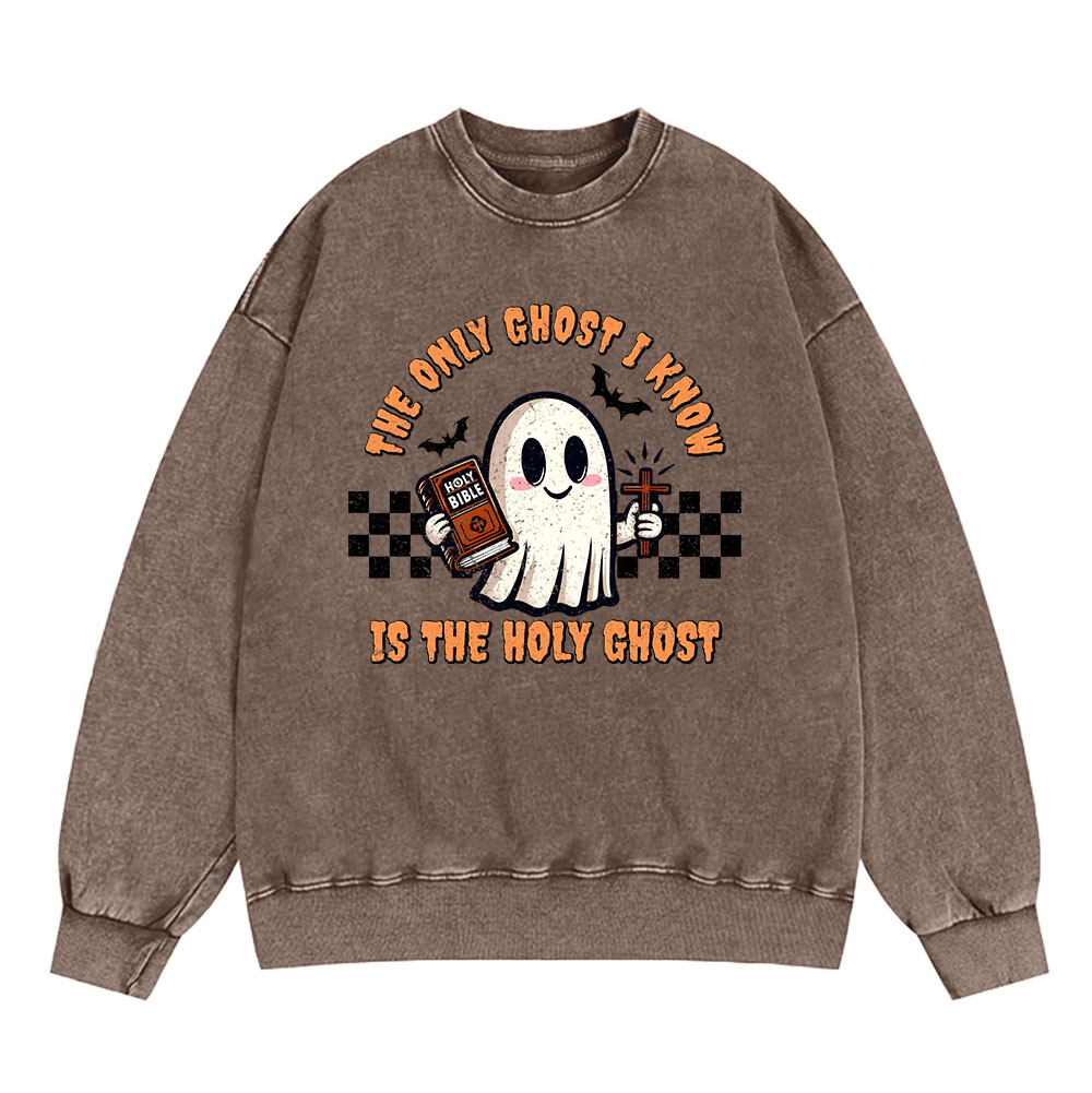 The Only Ghost I Know Is The Holy Ghost Christian Washed Sweatshirt