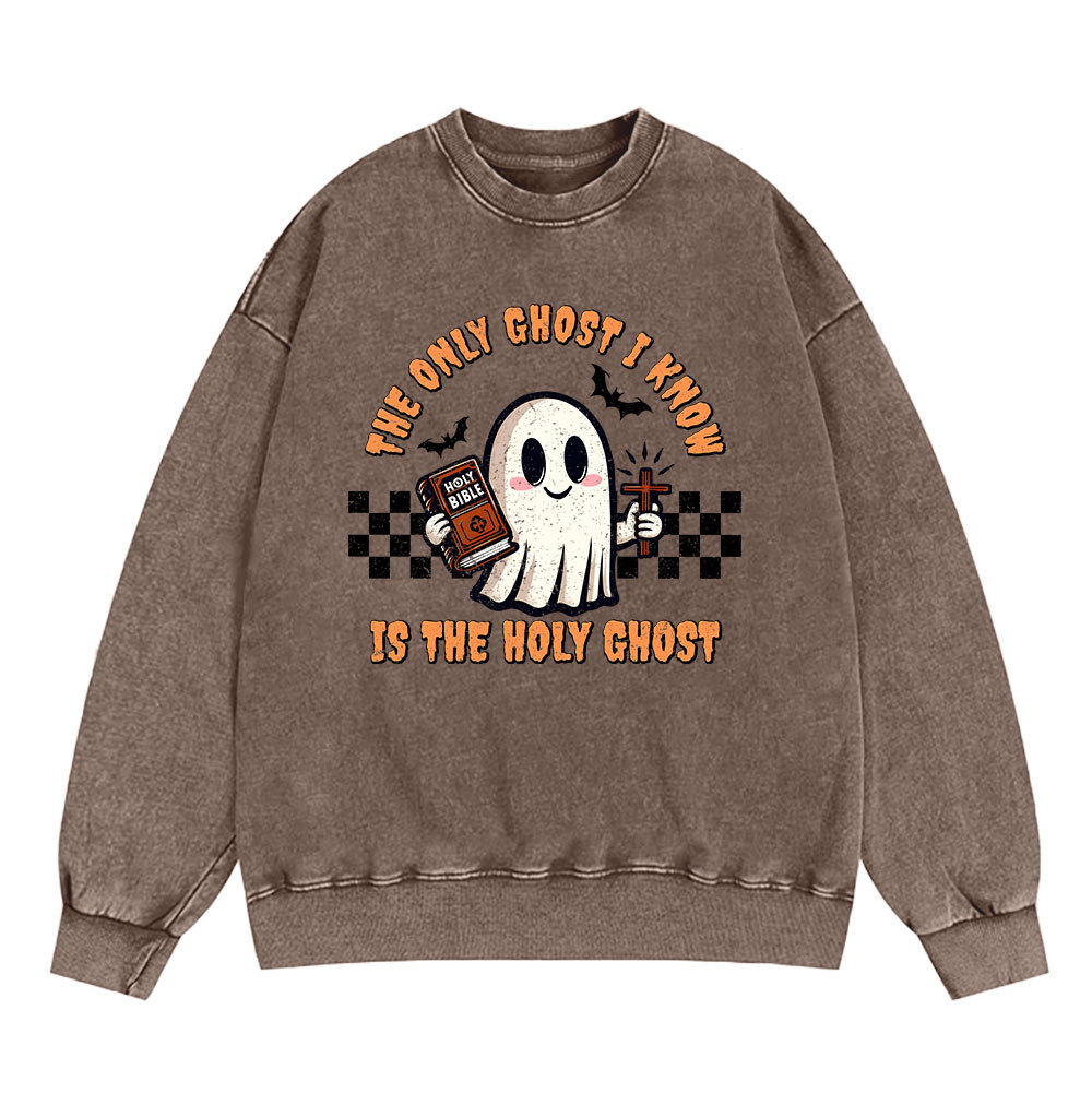 The Only Ghost I Know Is The Holy Ghost Christian Washed Sweatshirt