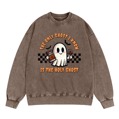 The Only Ghost I Know Is The Holy Ghost Christian Washed Sweatshirt