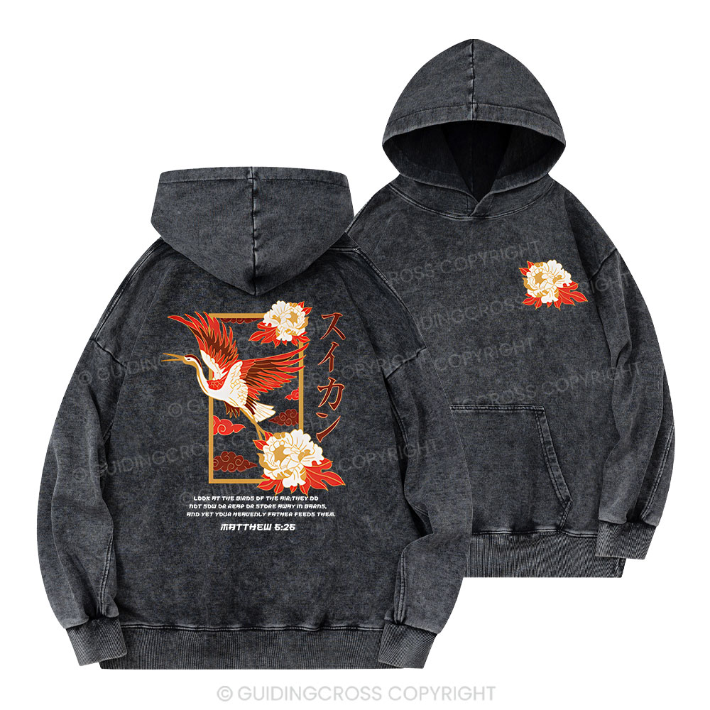 Look At The Birds Christian Washed Hoodie