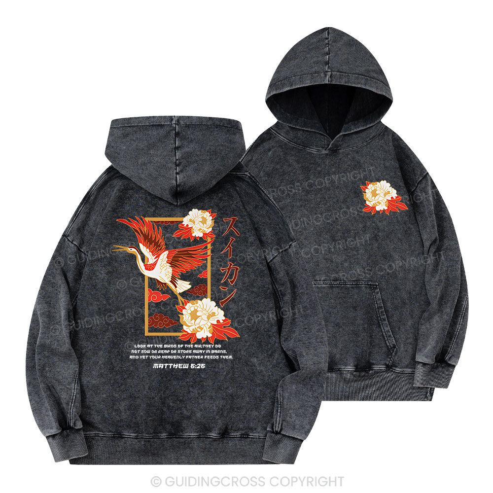 Look At The Birds Christian Washed Hoodie