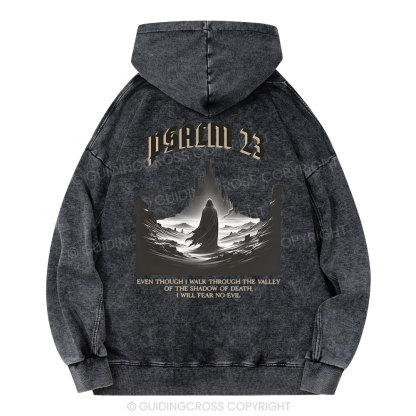 Psalm Christian Washed Hoodie