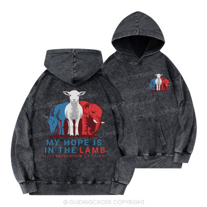 My Hope Is In The Lamb Christian Washed Hoodie