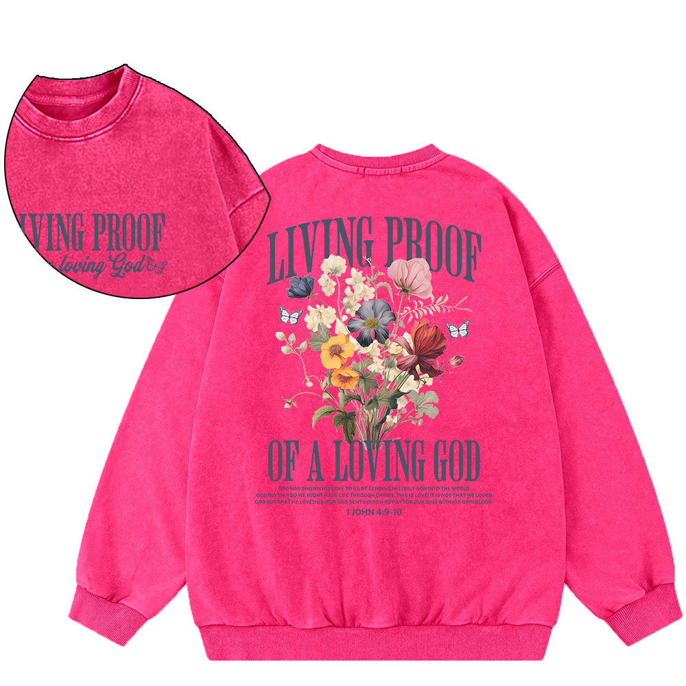 Living Proof Of A Loving God Christian Washed Sweatshirt