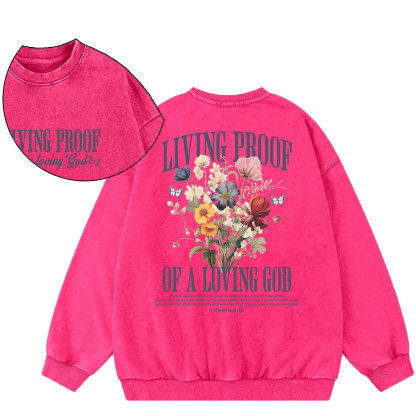 Living Proof Of A Loving God Christian Washed Sweatshirt